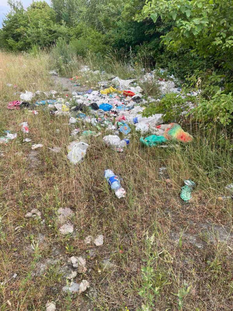 Купа пластикових пакетів і пляшок серед трави біля дерев на узліссі